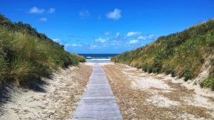 Unser Strandweg - Ginsterpad